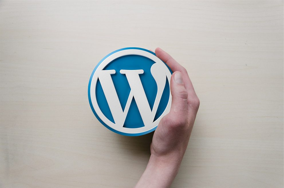 WordPress moduly