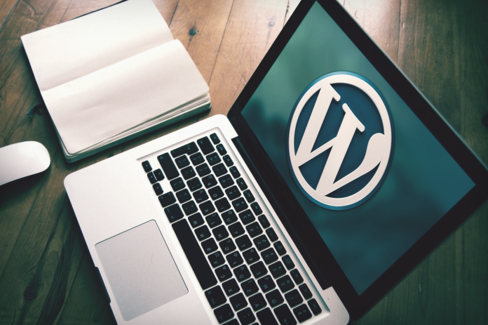 Wordpress blog- Aké dôležité je vybrať si správnu tému - h24 STUDIO